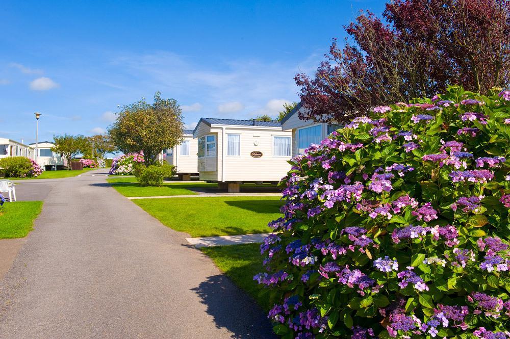 Wooda Farm Holidays Bude Quarto foto